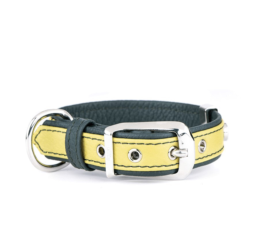 Firenze Hundhalsband