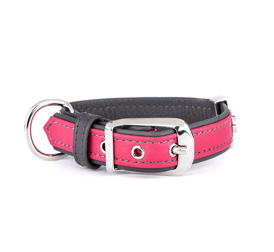 Firenze Hundhalsband