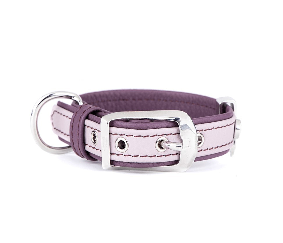 Firenze Hundhalsband