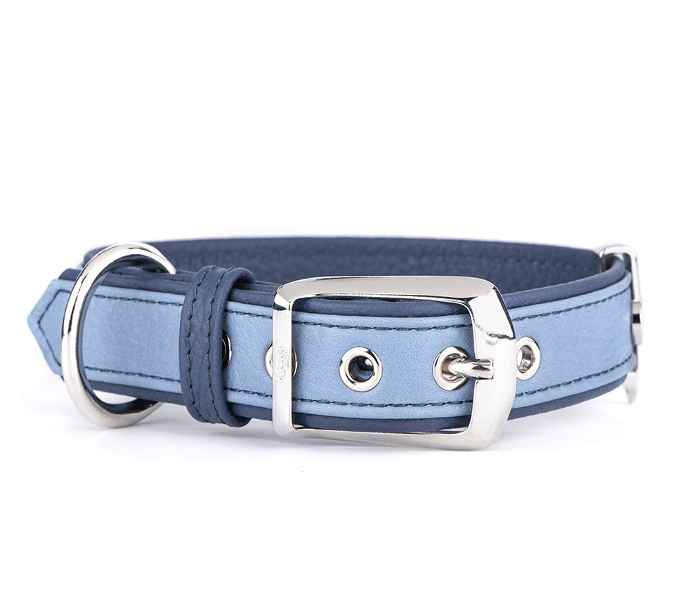 Firenze Hundhalsband