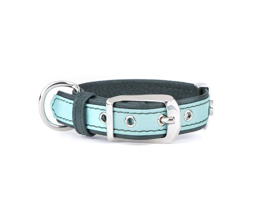 Firenze Hundhalsband