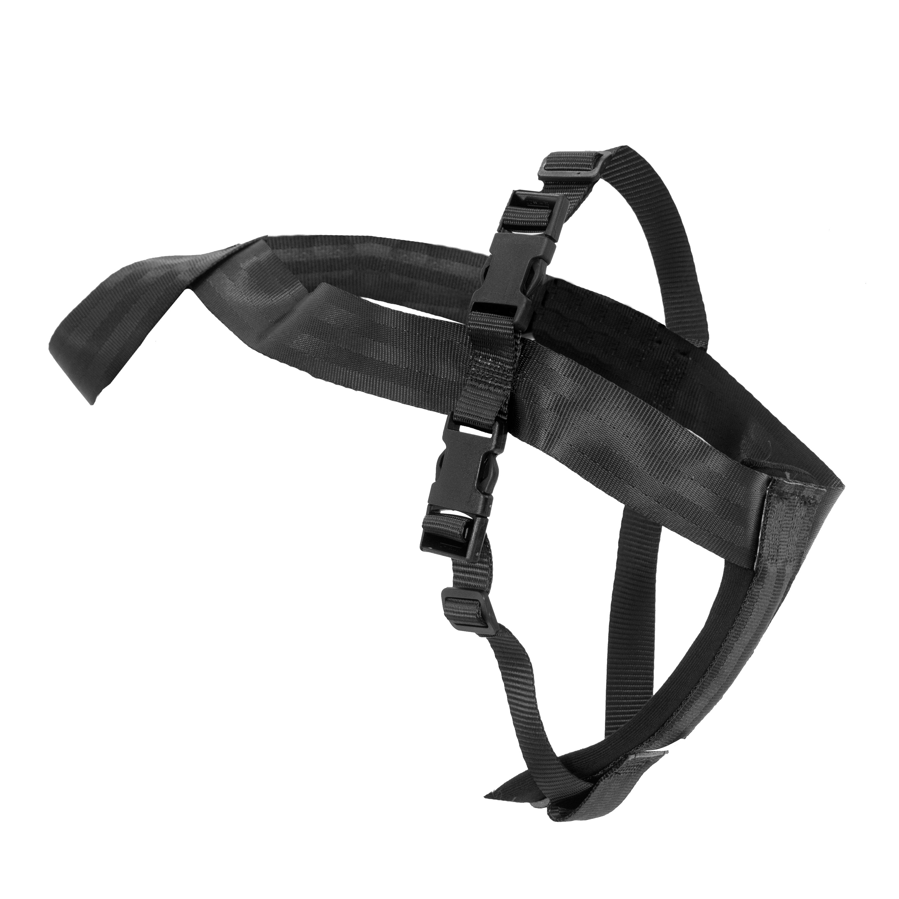 Billy Car Harness