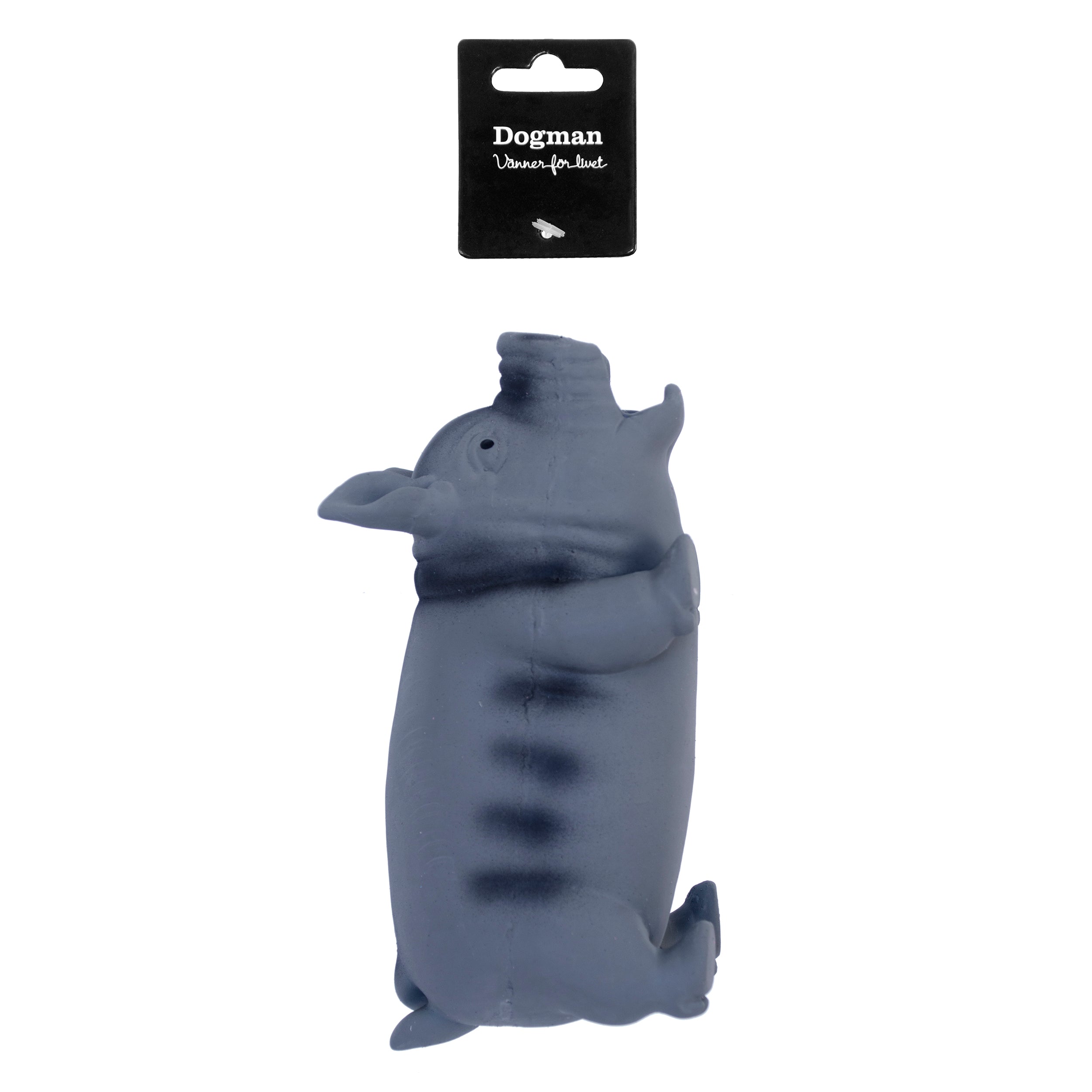 Latexgris Hundleksak