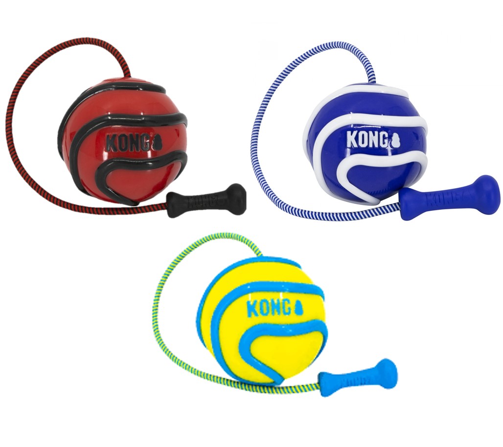 Wavz Bunji Ball Dog Toy