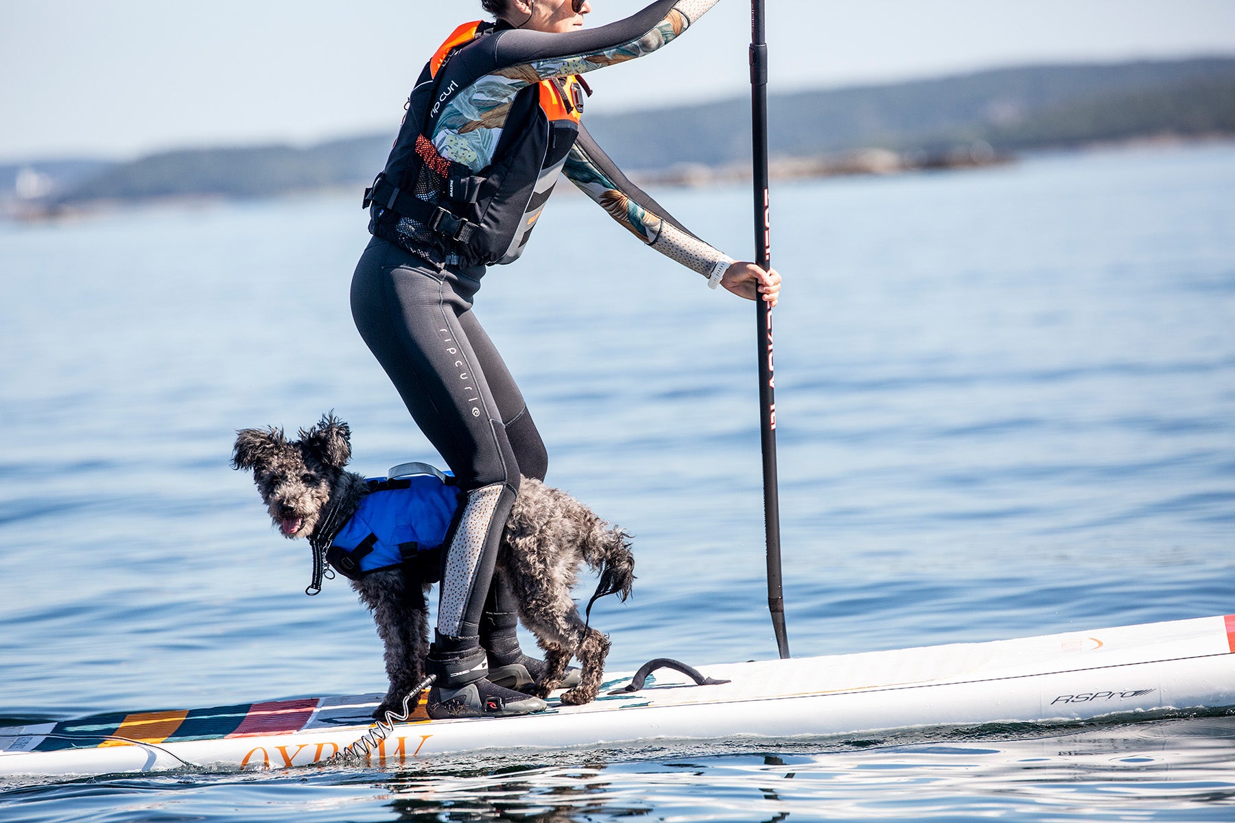 Hundflytväst Splash S