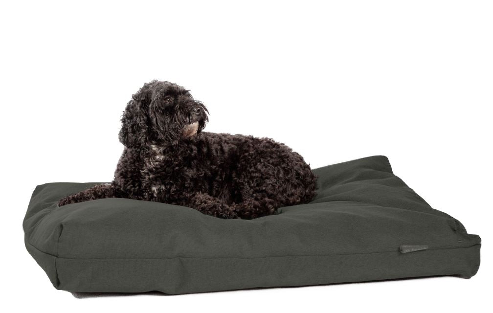 Danish Design Danish Design Antibacterial Bed Mattress Green L