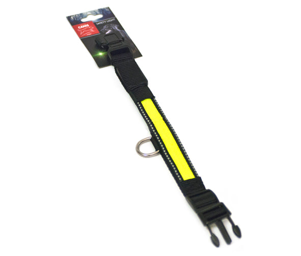 Active Canis LED collar 31×2,5 cm