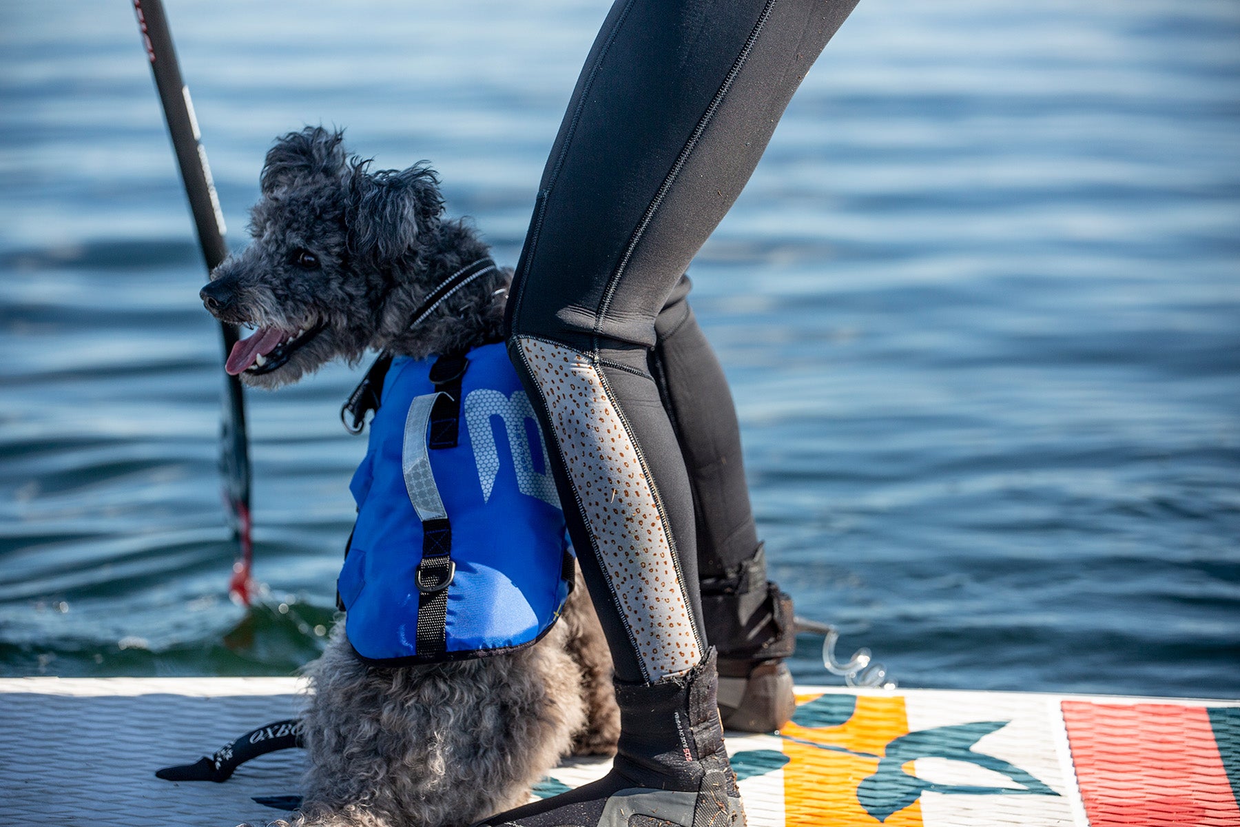 Hundflytväst Splash S