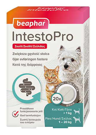 Intestopro Tabletter Hund/katt 