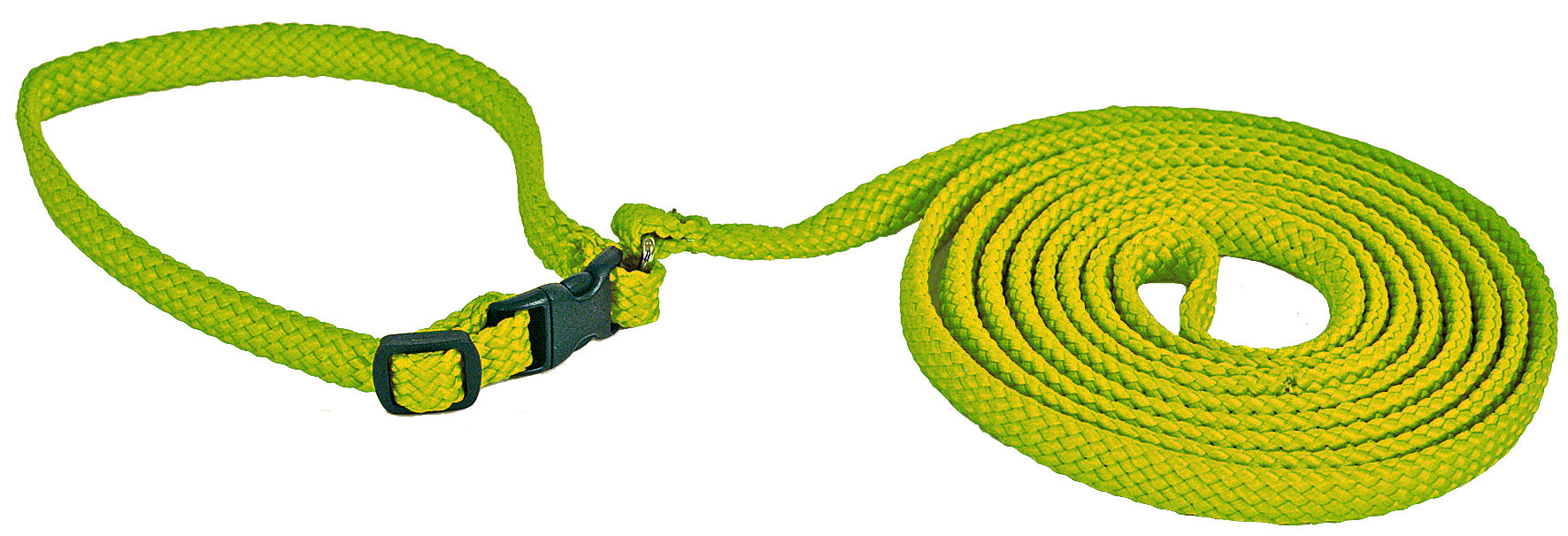 Hundhalsband+hundkoppel Grön