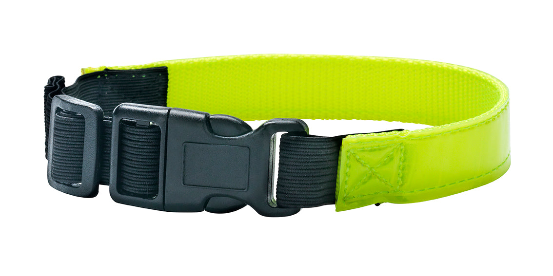Reflective Collar