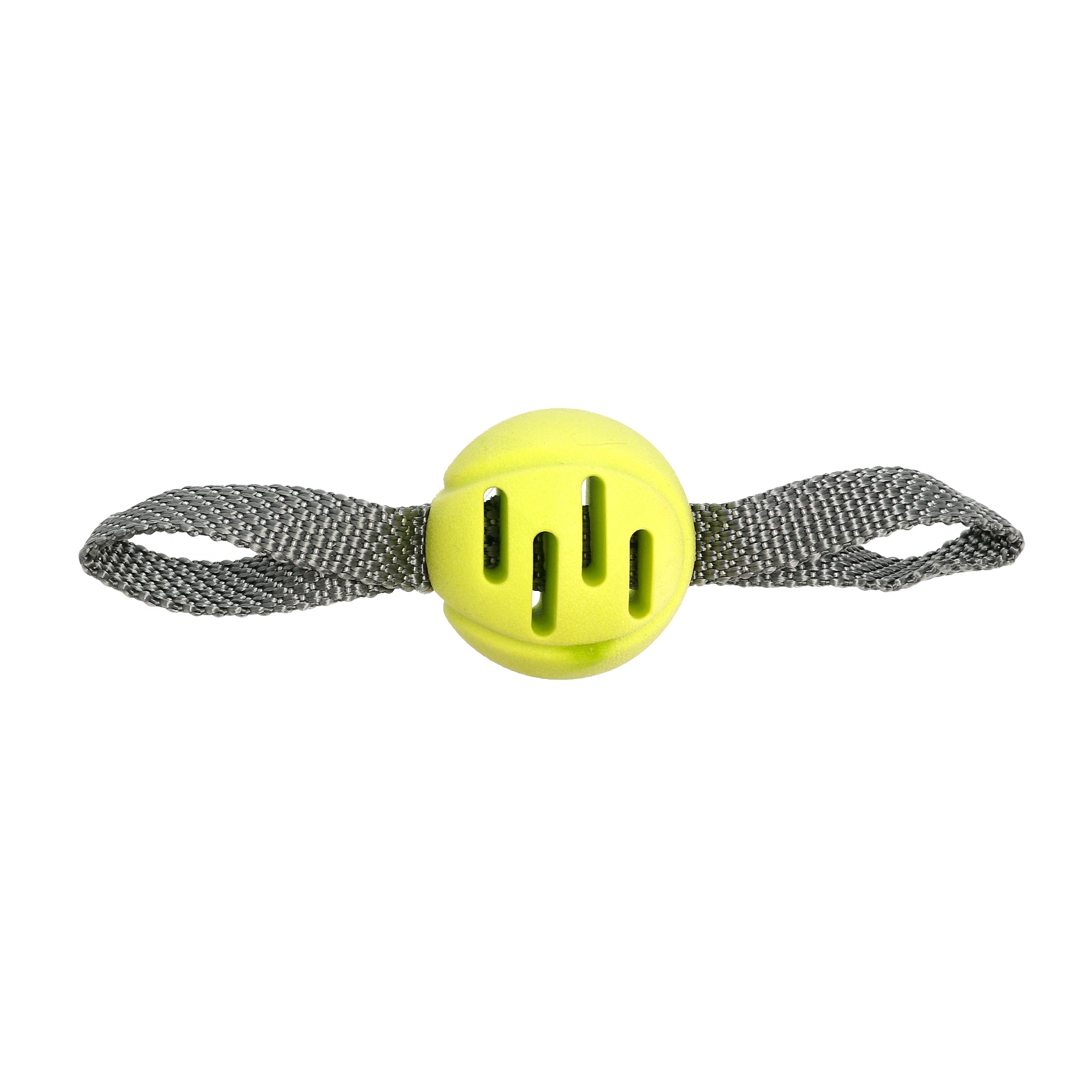Leksak Fetchball Grön