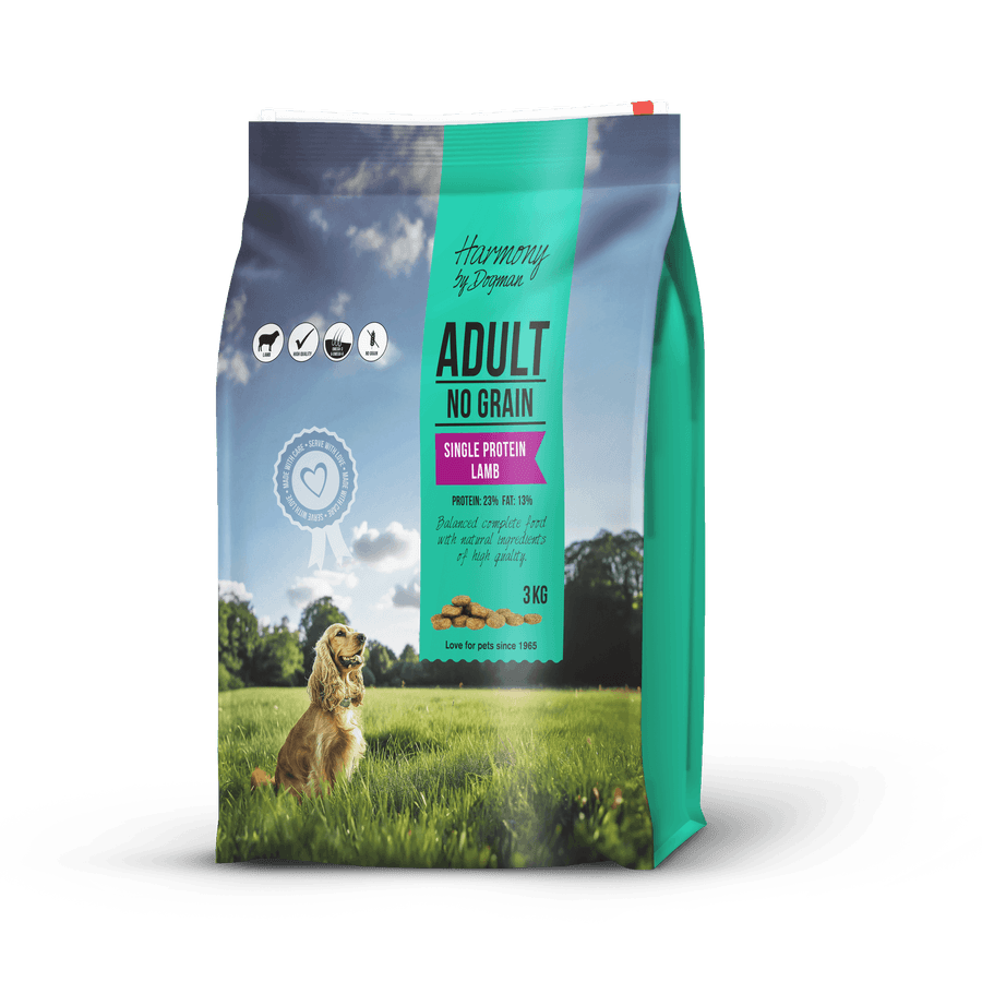 Adult Lamb Torrfoder För Hund