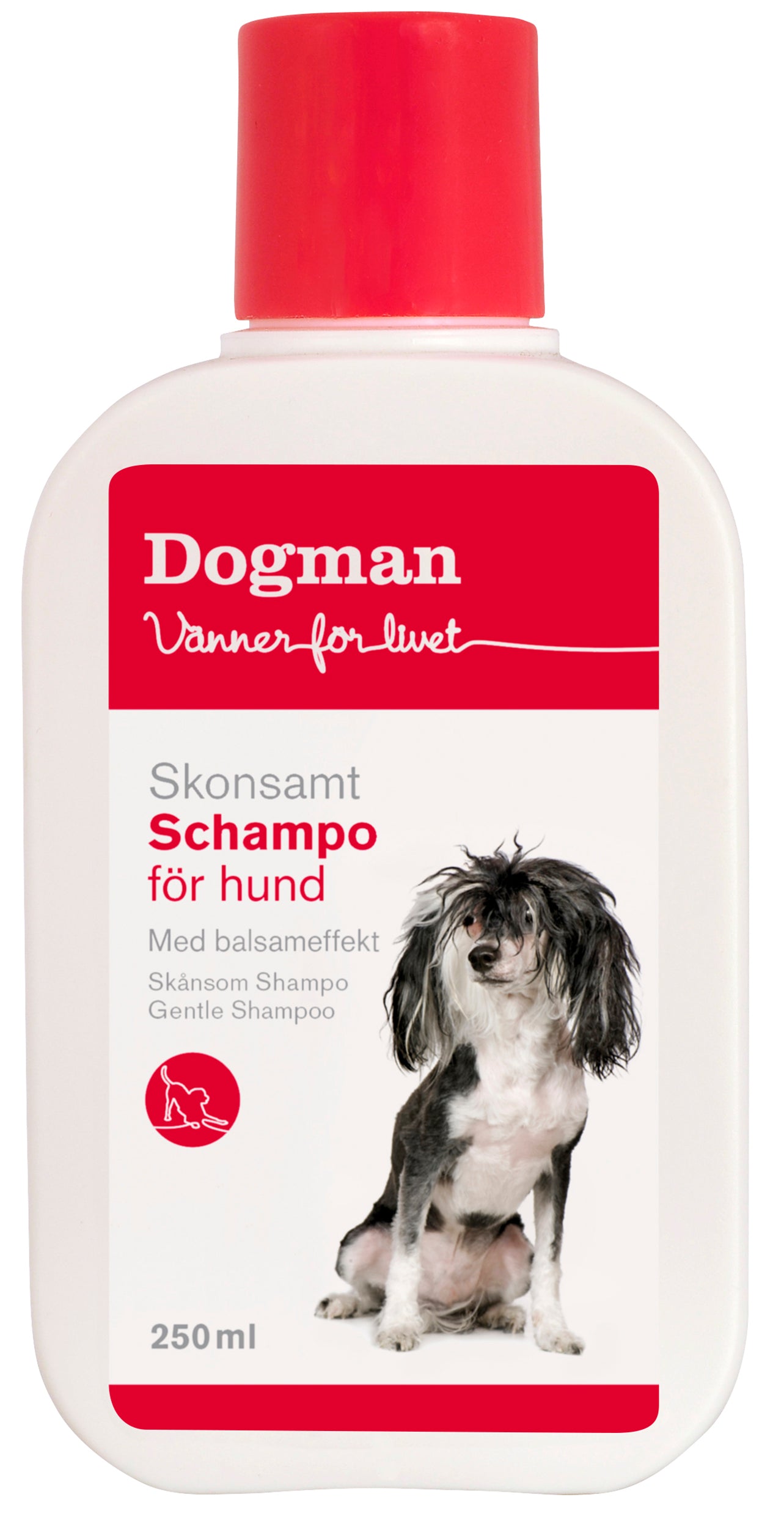 Gentle Shampoo