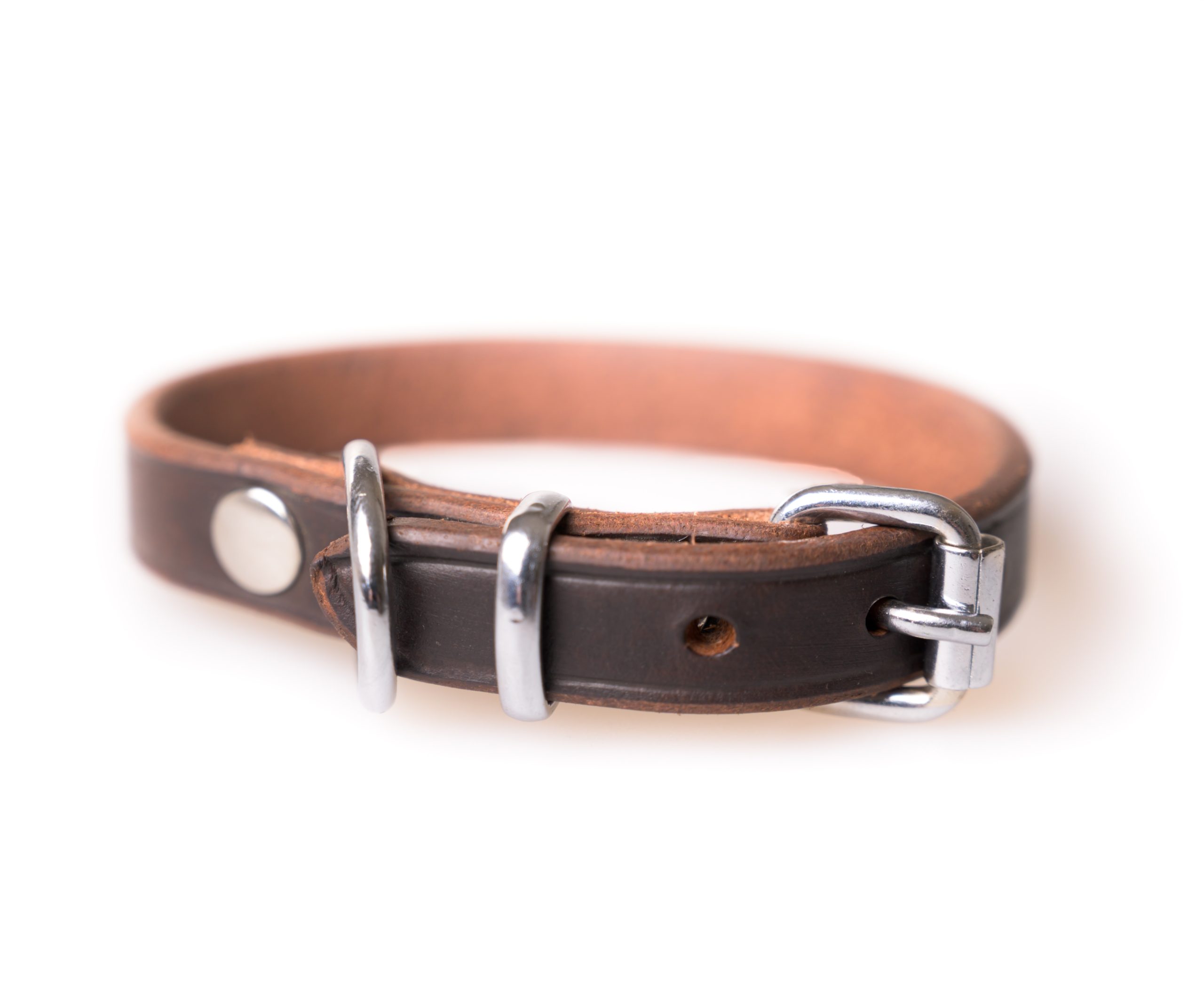 Active Canis Leather Collar, 1,8×55 cm Brown