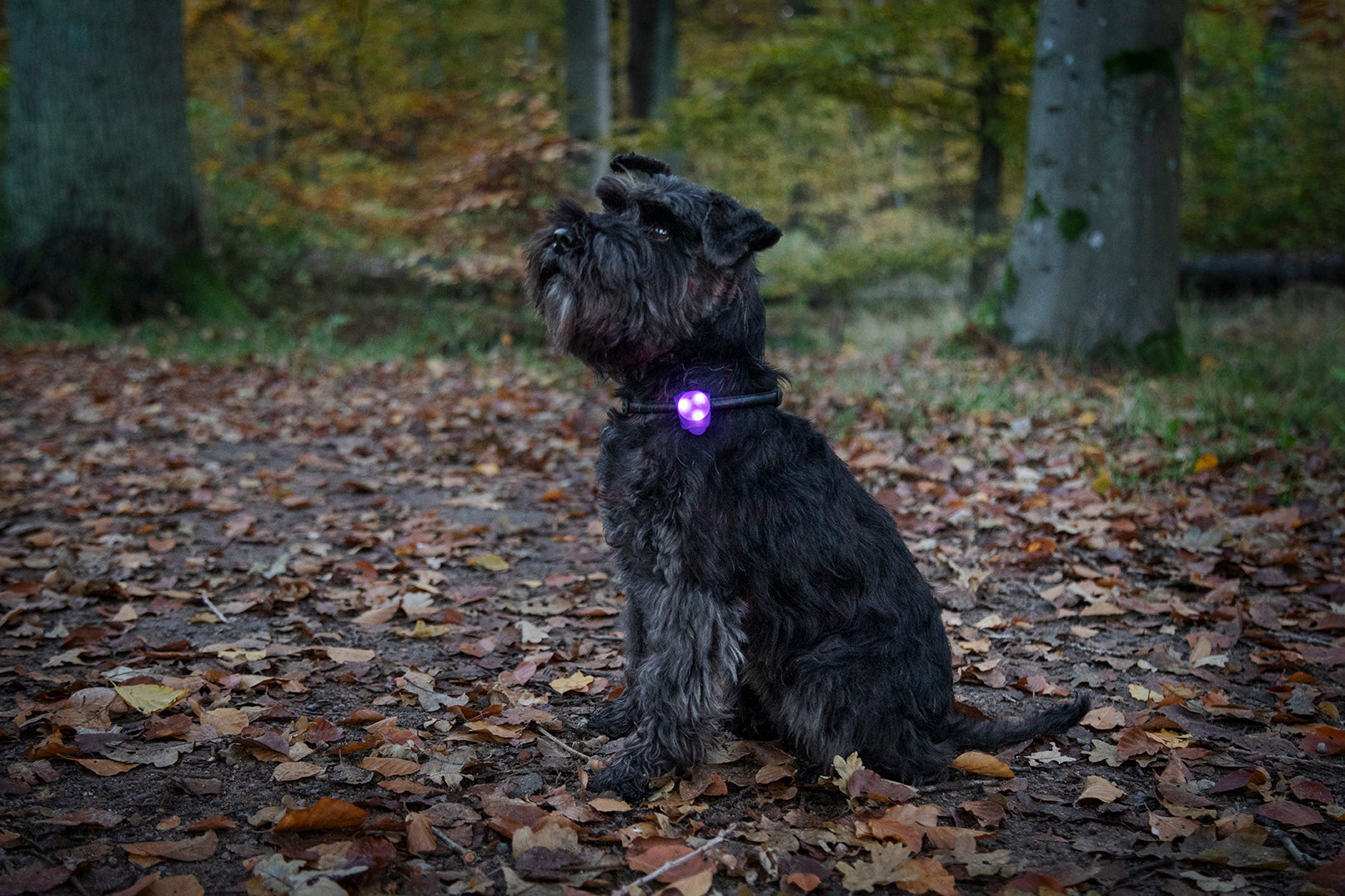 Blinklampa Basic LED Grå