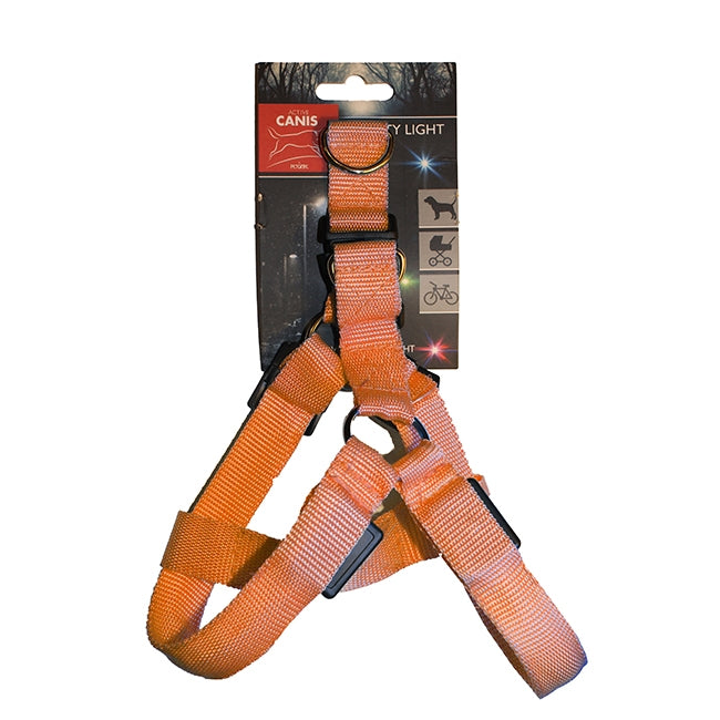 Led light Pet Harness L Orange